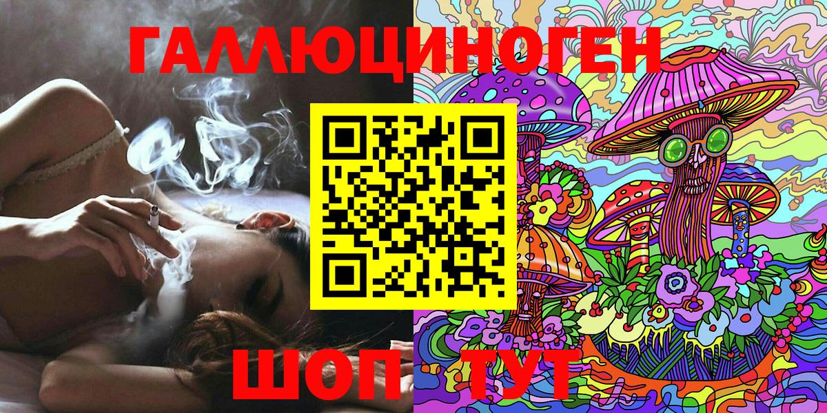 Псилоцибиновые грибы Psilocybine cubensis  Псилоцибиновые грибы прущие грибы  Алатырь  Вход с VPN 